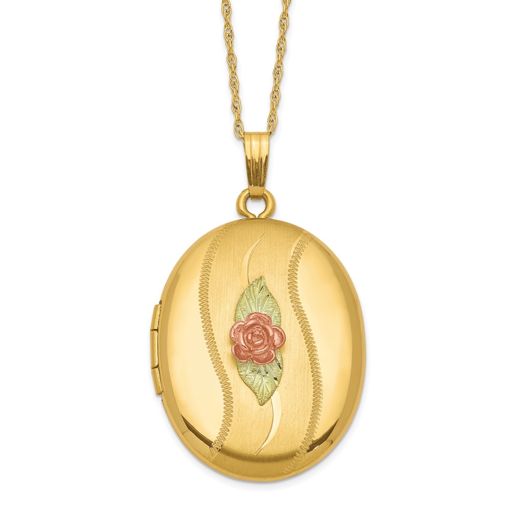 10BH677-18.jpg 10K w/ 12k Accents and 14k Gold-filled Chain Black Hills Locket - Image 1