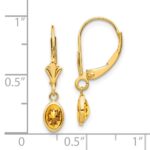 14k 6x4 Oval Bezel November/Citrine Leverback Earrings - Image 4