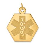 14k 22.5mm Hexagon Non-enameled Medical Jewelry Pendant