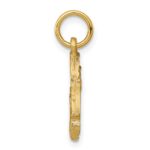 10k Fish Charm - Image 2