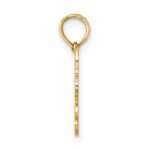 10K 100% CANCER Zodiac Charm - Image 2