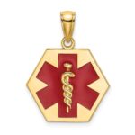 10k Enameled Medical Disc Pendant