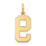 10k Medium Satin Number 9 Charm - Image 4