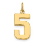 10k Medium Polished Number 5 Charm