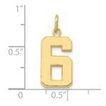 10k Medium Polished Number 6 Charm - Image 3