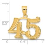 14k Polished Etched Number 45 Pendant - Image 4