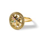 IBGoodman 14k Women's Polished and Textured with Multi-color CZ and Diamond Eastern Star Masonic Ring - Image 9