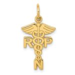 14k RNP Registered Nurse Practitioner Charm