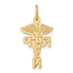 14k RNP Registered Nurse Practitioner Charm - Image 3