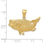 14k Polished Open-Backed Bass Fish Pendant - Image 4