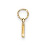 14k R.N. Charm - Image 2