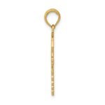 14k Caduceus with Nurses Cap Pendant - Image 2