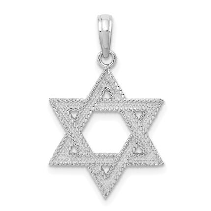 14K White Gold Textured Star Of David Charm