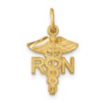 14k RN Registered Nurse Charm