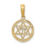 14K Star of David and Chai in Circle Pendant