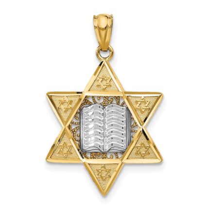 14k Two-tone Star of David and Torah Pendant