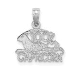 14k White Gold 100% CAPRICORN Zodiac Charm