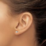 14k White Gold 1/5 carat Lab Grown Diamond VS/SI+ G+ Round Complete Four Prong Screwback Heavyweight Stud Earrings - Image 3