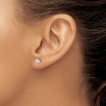 14k White Gold 1/3 carat Certified Lab Grown Diamond VS+ F+ Round Complete Three Prong Screwback Stud Earrings - Image 3