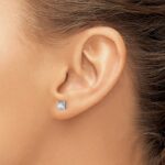 14k White Gold 1 carat Lab Grown Diamond VS+ F+ Princess Complete Four Prong Stud Earrings - Image 3