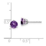 14k White Gold Round Amethyst Earrings - Image 4