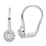 14k White Gold 1 carat Lab Grown Diamond VS/SI+ G+ Complete Drop Leverback Earrings
