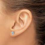 14k White Gold 3/4 carat Lab Grown Diamond VS+ F+ Complete Oval Four Prong Stud Earrings - Image 3