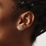 14k White Gold 1/5 carat Lab Grown Diamond VS/SI+ G+ and Aquamarine March Birthstone Post Earrings - Image 3