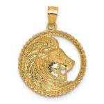 14k Polished Lion with Mane in Textured Circle Pendant - Image 3