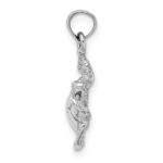 14K White Gold Textured Sea Turtle Charm - Image 2