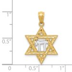 14k and White Rhodium Star of David with Chai Pendant - Image 4