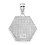 14K White Gold Red Enameled Textured Back Caduceus Medical Disc Charm - Image 4