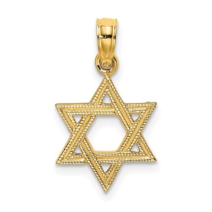 14K Textured Star Of David Charm