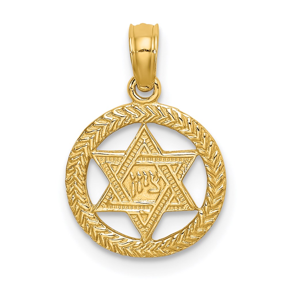 K8388.jpg 14K Textured Star Of David In Circle Charm - Image 1