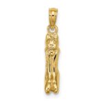 14K 3-D Polished MARCO ISLAND Cat Charm