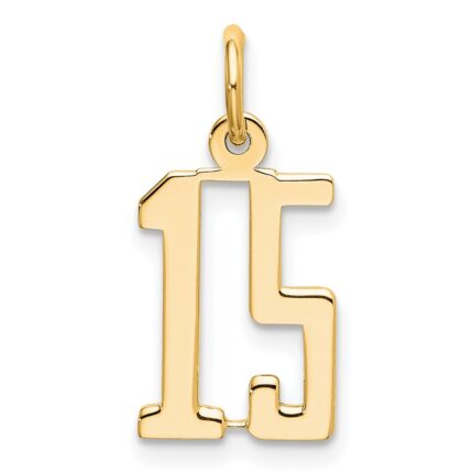 14k Small Elongated Number 15 Charm
