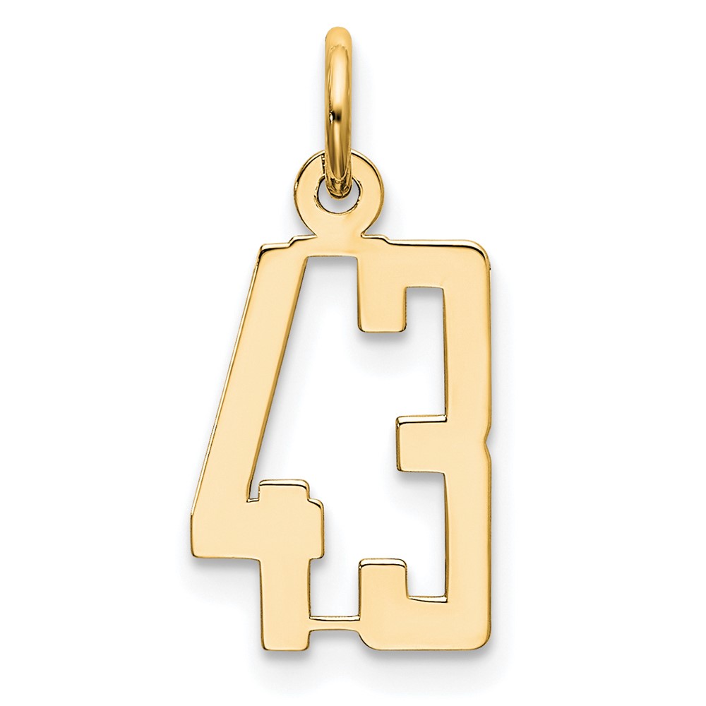 LES43.jpg 14k Small Elongated Number 43 Charm - Image 1