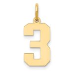 14k Medium Polished Number 3 Charm