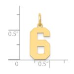 14k Medium Polished Number 6 Charm - Image 4