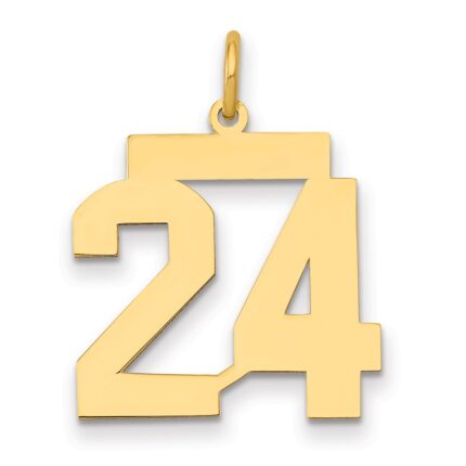 14k Medium Polished Number 24 Charm
