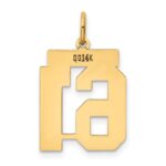 14k Medium Polished Number 61 Charm - Image 3