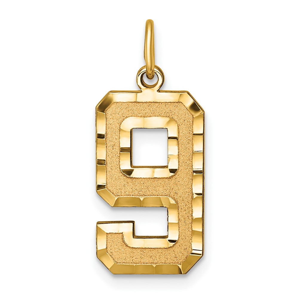 LN09.jpg 14k Large Brushed Diamond-cut Number 9 Charm - Image 1