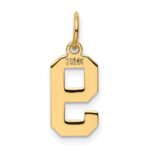 14k Small Polished Number 9 Charm - Image 3