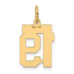 14k Small Polished Number 19 Charm - Image 3