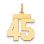 14k Small Polished Number 45 Charm