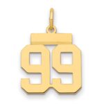 14k Small Polished Number 99 Charm