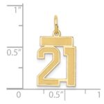 14k Small Satin Number 21 Charm - Image 4