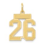 14k Small Satin Number 26 Charm