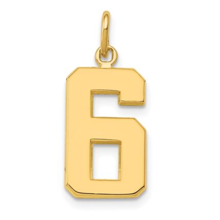 14k Medium Polished Number 6 Charm