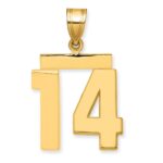 14k Medium Polished Number 14 Charm